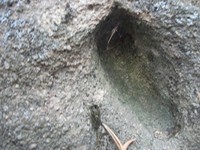 gale-20120725 083